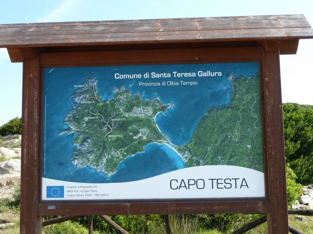 P1040638_s.jpg
