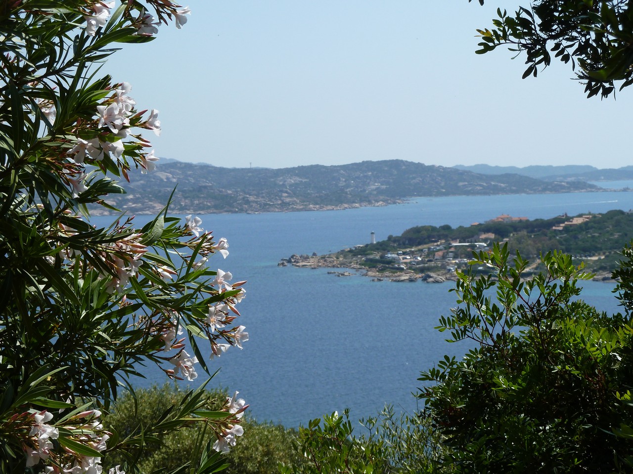 P1040821_s.jpg